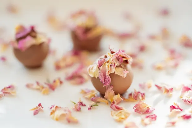 Crystal Casino Android/iOS Forrit