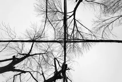 Crystal Casino Farsímaforrit